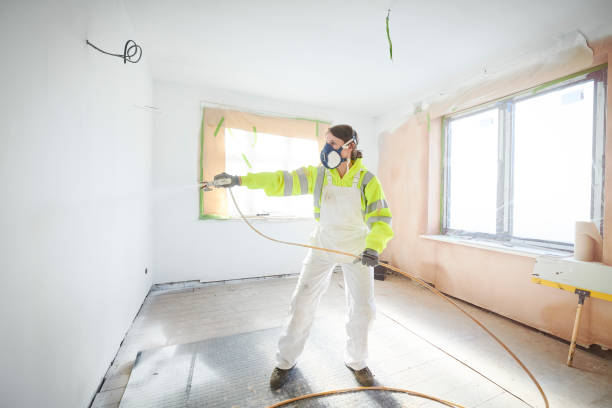 Best Mold Damage Restoration  in Des C, AR