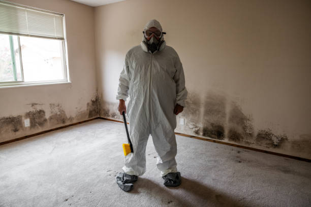 Best Asbestos and Lead Testing During Mold Inspection  in Des C, AR